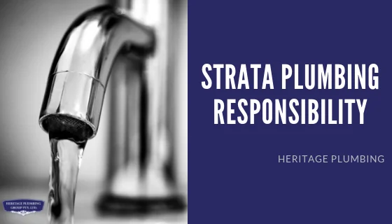 strata plumbing responsibility